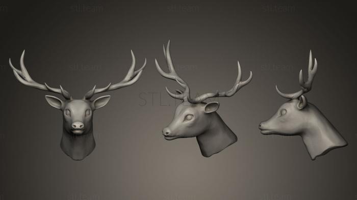 3D model deer young (STL)